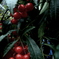 R0010507