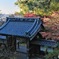 瑞応寺の紅葉