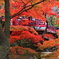 紅葉 ⑯