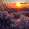 霧氷の朝焼け