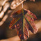 autumn leaf