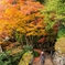 Autumn foliage tour