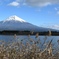 田貫湖からの富士山。