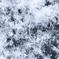 雪の結晶