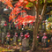 地蔵様の紅葉日和