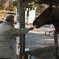 馬にニンジンあげた自分(本人です)