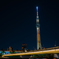TOKYO SKYTREE NIGHT