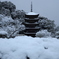 雪の五重塔6