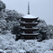 雪の五重塔9
