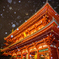 浅草寺 宝蔵門の雪景色