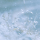 雪の華
