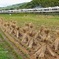 積藁と鉄道の風景
