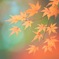 紅葉に満ちる
