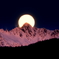 新年初満月③