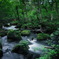 green place