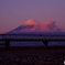 夕暮れの紅富士と新幹線！