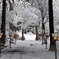 天日陰比め神社の雪景色。