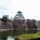 大阪城を望む