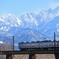 立山連峰と地鉄電車