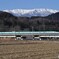 蔵王連峰と新幹線