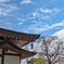 寺院風景②
