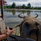 水牛車と三線の音色に揺られて