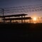 黄昏駅は夕焼けスポット　⑤。。。！