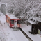樽見鉄道　冬の旅
