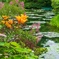 水の庭