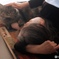 母と猫２