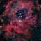 C49  Rosette Nebula
