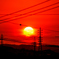 本日の日の出！　1/15
