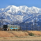 あいの風とやま鉄道風景
