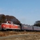 希少価値高しDE10牽引列車！
