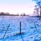 Snowy Farmland