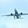飛行機も飛んでいる