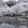 円通寺 雪景色