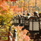 紅葉と釣灯篭