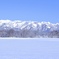 広大な雪景色