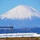 富士山と新幹線！