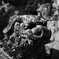 DPP_7160