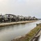 冬の鴨川