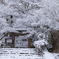高源寺 雪景色 5