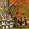 紅葉と石灯篭
