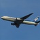 福岡空港ランディングのANA B767-300ER　