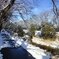 雪が積もった川沿いの道（1月12日）