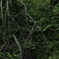 photo1334720