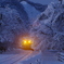樽見鉄道雪景色