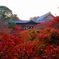京都/東福寺