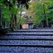 京都/法然院